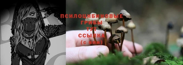 таблы Армянск