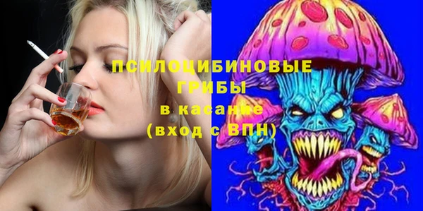 apvp Аркадак