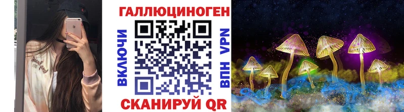 наркота  Фрязино  Галлюциногенные грибы Psilocybe 